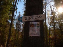 2013-10-26_Schildenstein (010).JPG